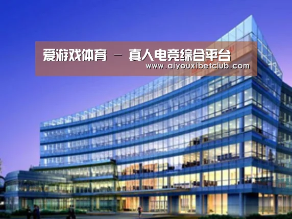 爱游戏娱乐案例展示三