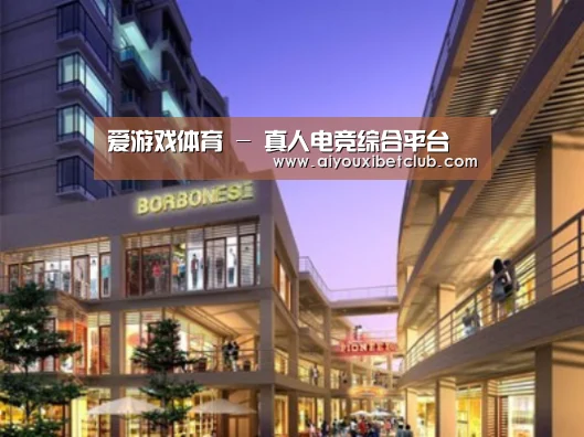 爱游戏娱乐案例展示一