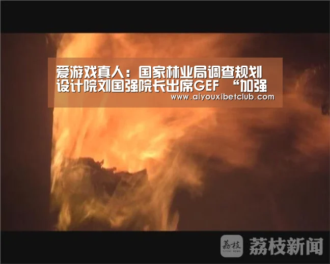 爱游戏百家乐